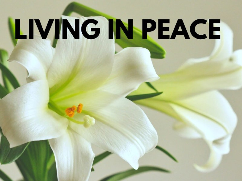 If it depends on you&nbsp;…