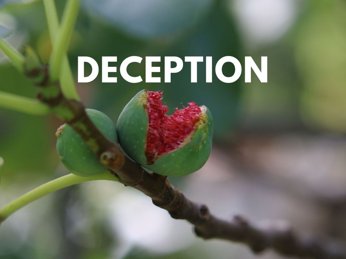 An old enemy&nbsp;strategy