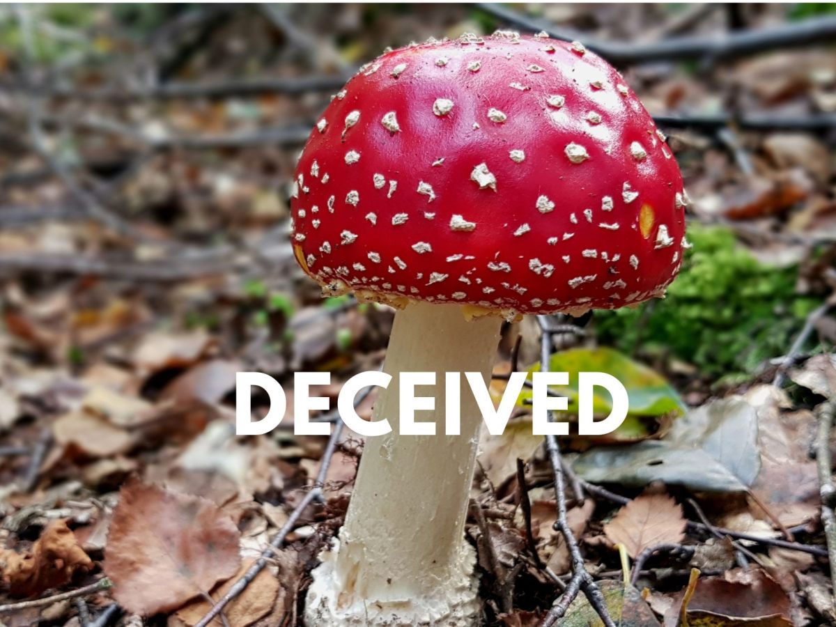 Seduced by lies